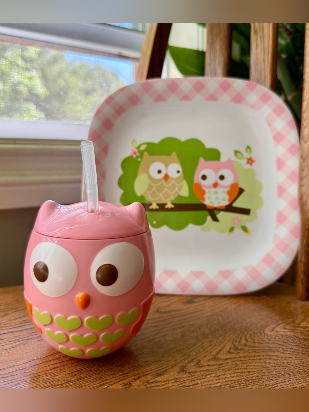 Target CIRCO Owl Nature Sippy Cup + Plate Set
